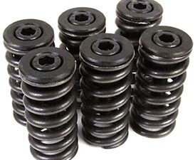 HDCS1300GSX Clutch springs
